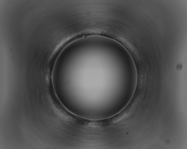 X0000091700064200708241232