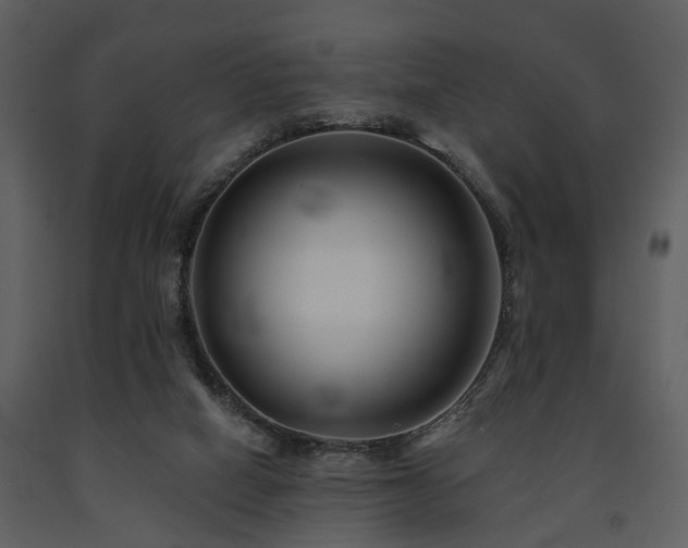 X0000091700066200708241232