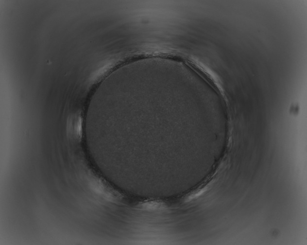 X0000091700067200708241232