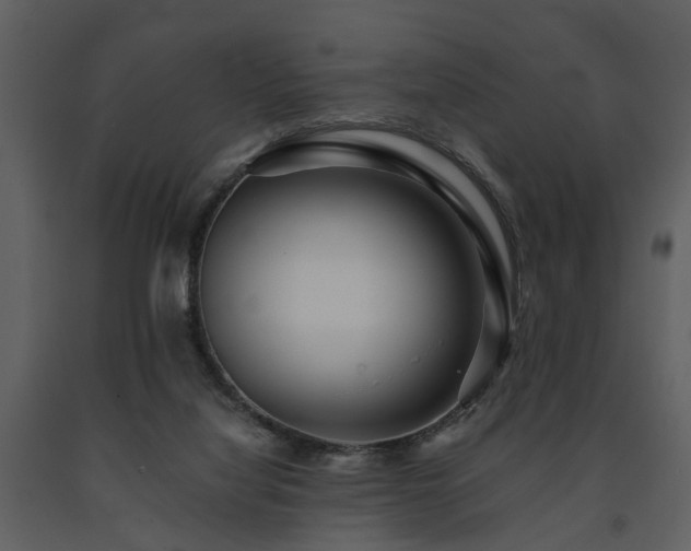 X0000091700068200708241232