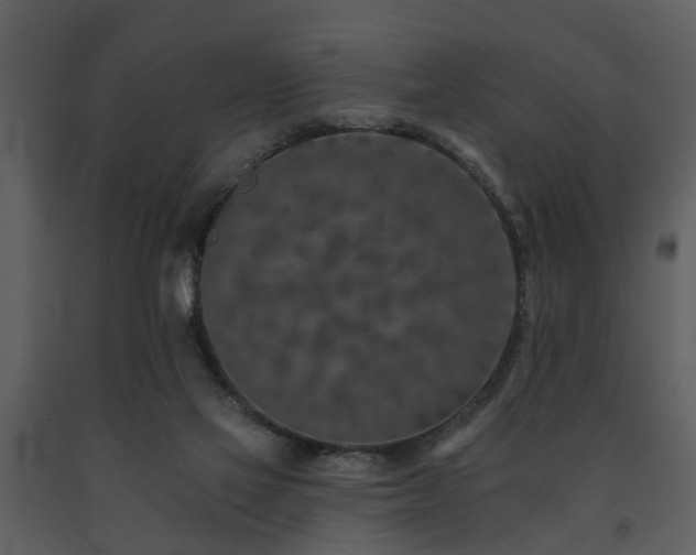 X0000091700069200708241232