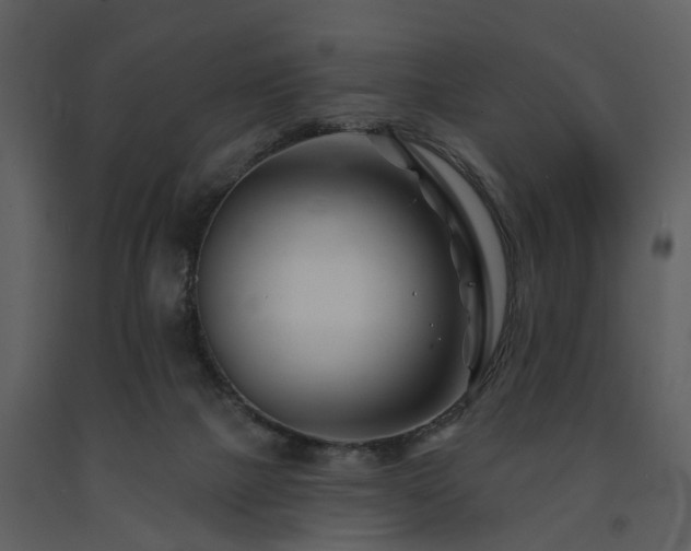 X0000091700073200708241232
