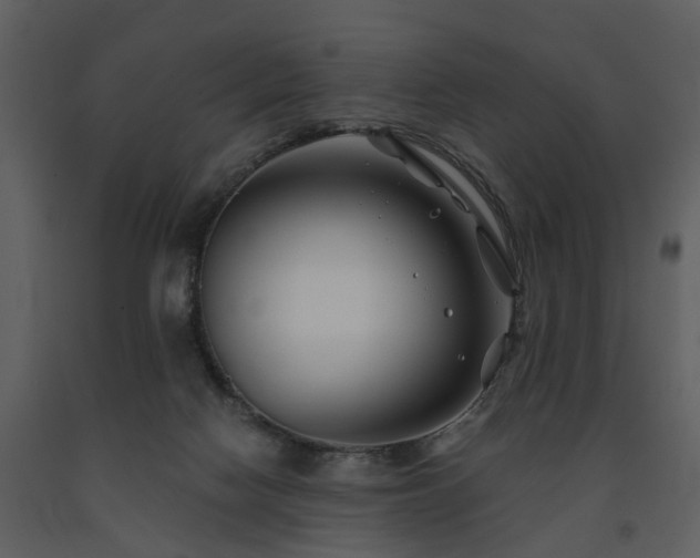 X0000091700074200708241232