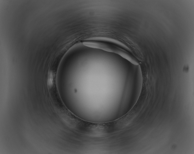 X0000091700075200708241232