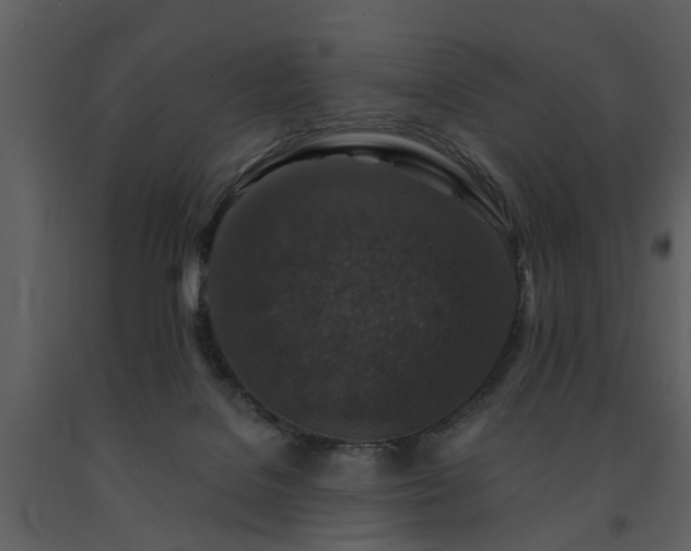 X0000091700076200708241232