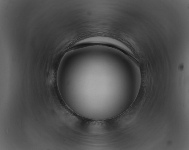 X0000091700077200708241233