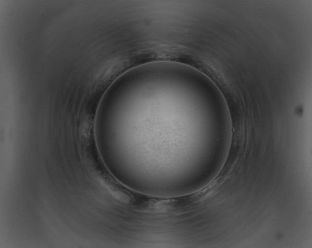 X0000091700078200708241233