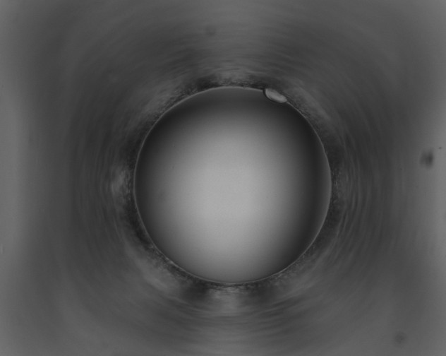 X0000091700079200708241233
