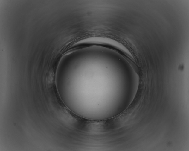 X0000091700081200708241233