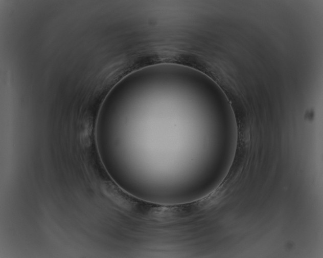 X0000091700082200708241233