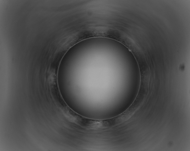 X0000091700083200708241233