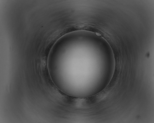 X0000091700085200708241233