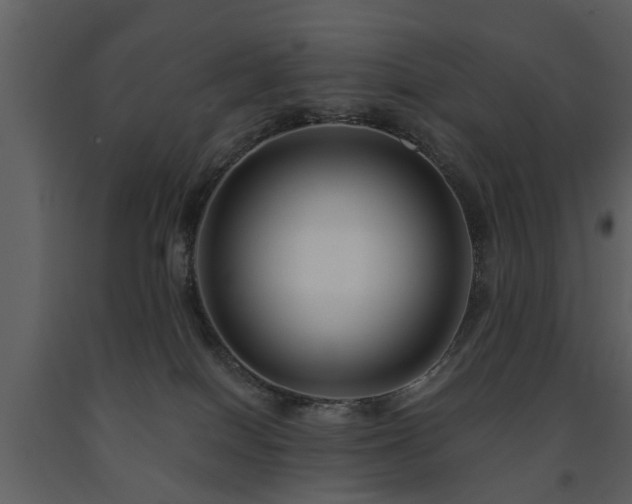 X0000091700086200708241233