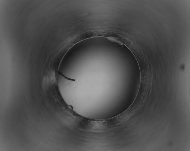 X0000091700089200708241233