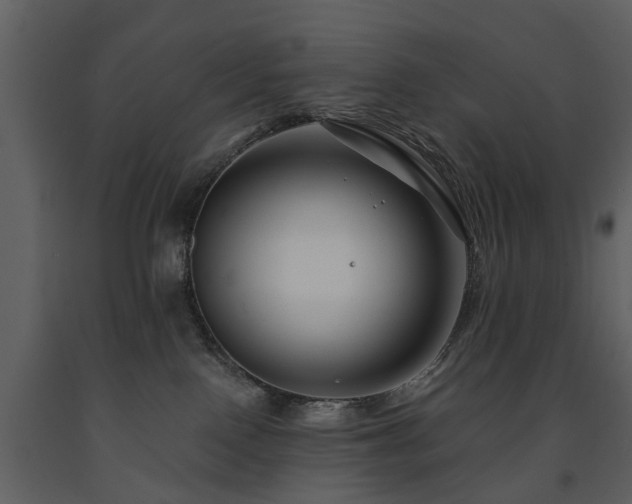 X0000091700090200708241233
