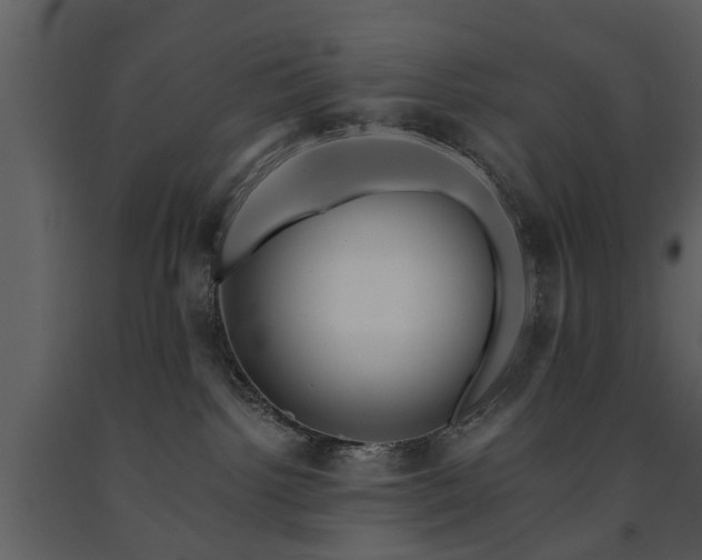 X0000091700092200708241233