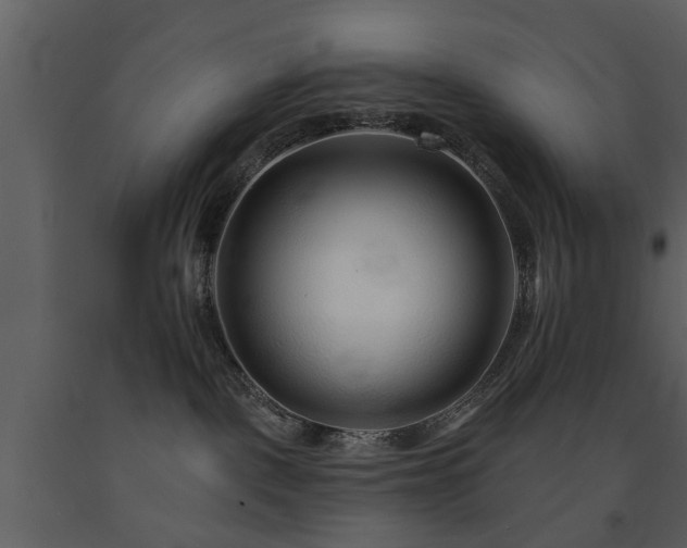 X0000091700093200708241233