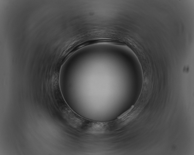 X0000091700096200708241233