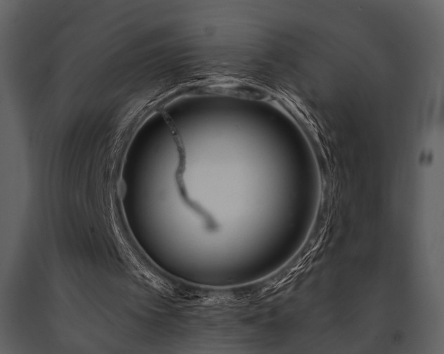X0000091700097200708241232