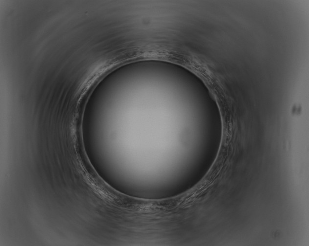 X0000091700098200708241232