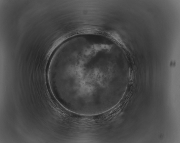 X0000091700099200708241232