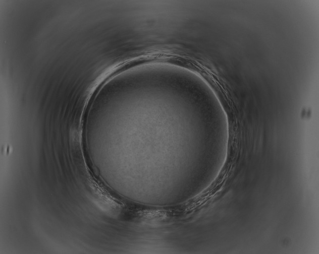 X0000091700100200708241232