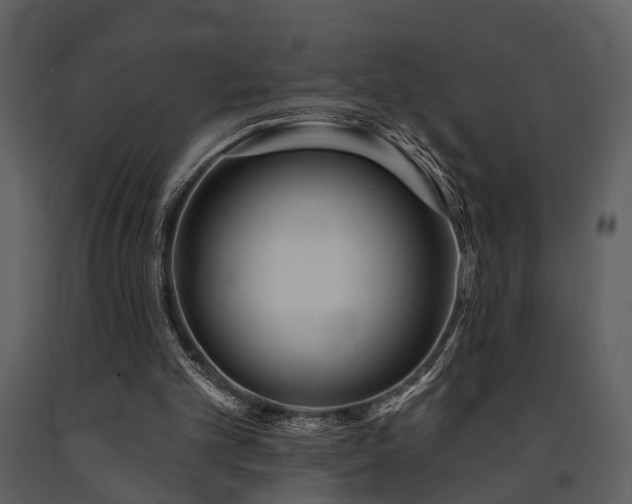 X0000091700101200708241232