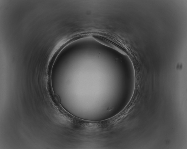 X0000091700102200708241232