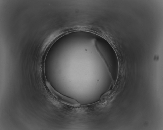 X0000091700103200708241232