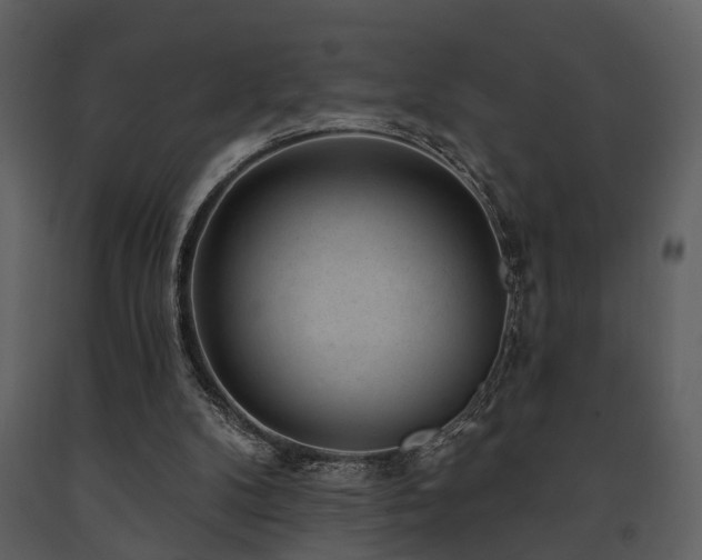 X0000091700104200708241232