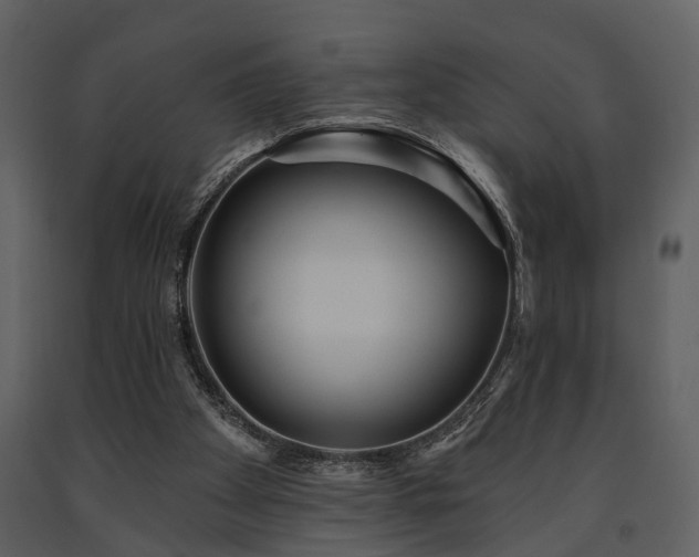 X0000091700105200708241232