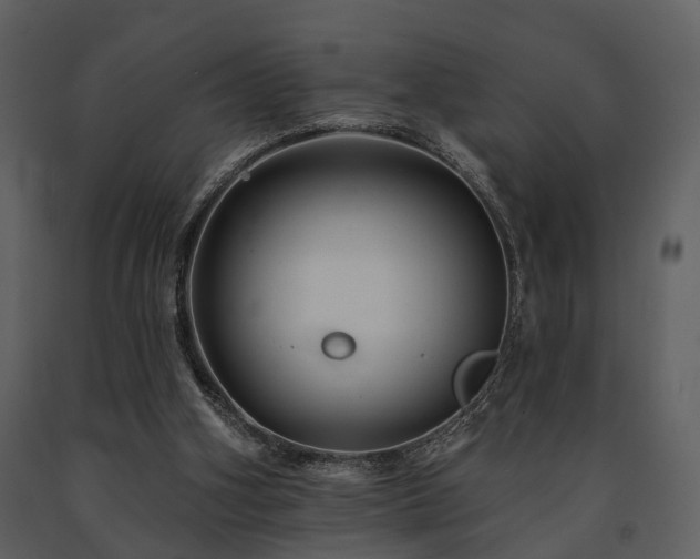 X0000091700106200708241232