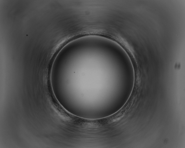 X0000091700107200708241232