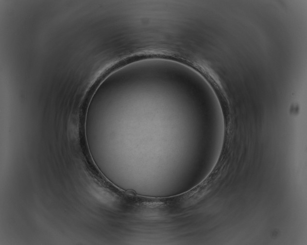 X0000091700108200708241232