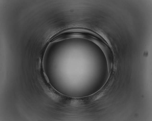 X0000091700109200708241232