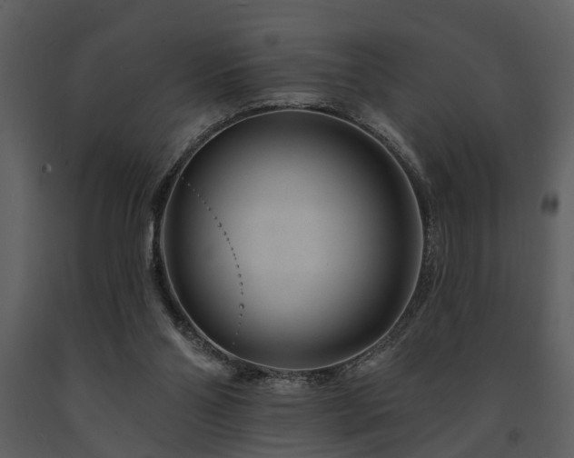 X0000091700110200708241232