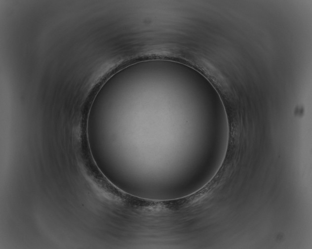 X0000091700112200708241232
