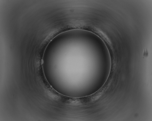 X0000091700113200708241232