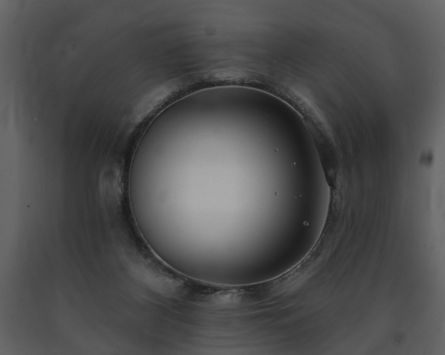 X0000091700116200708241232