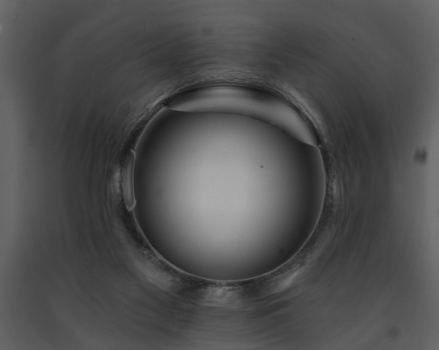 X0000091700117200708241232