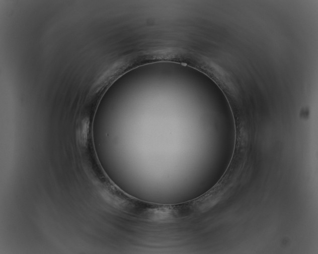 X0000091700118200708241232