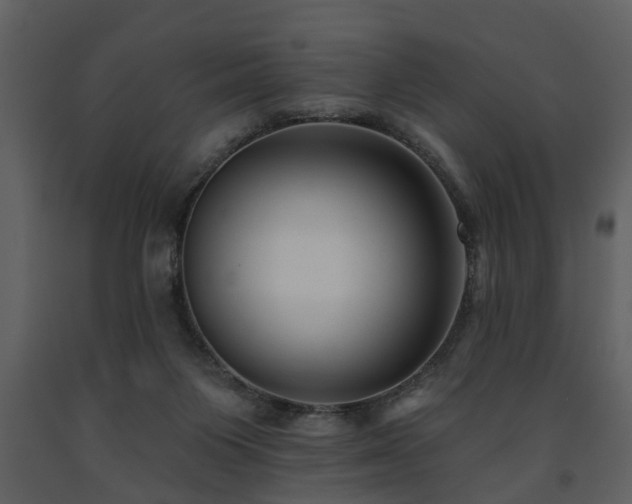 X0000091700119200708241232