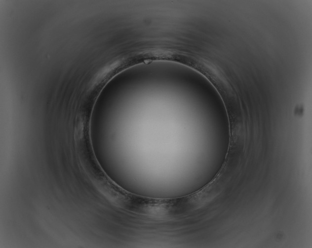 X0000091700120200708241232
