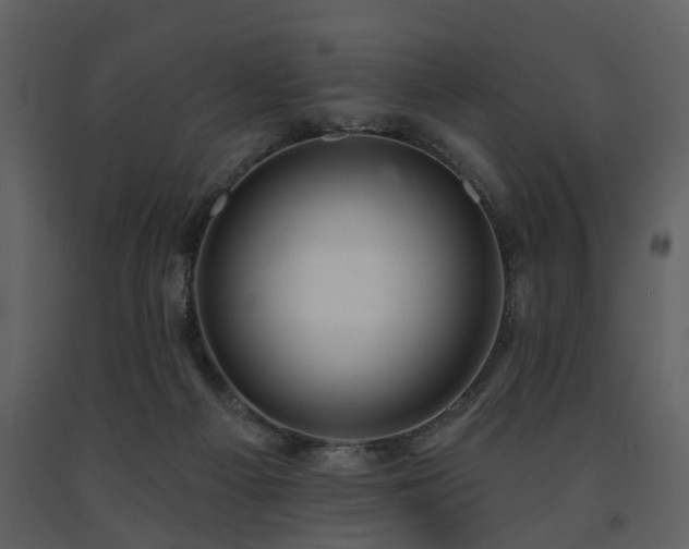 X0000091700121200708241232
