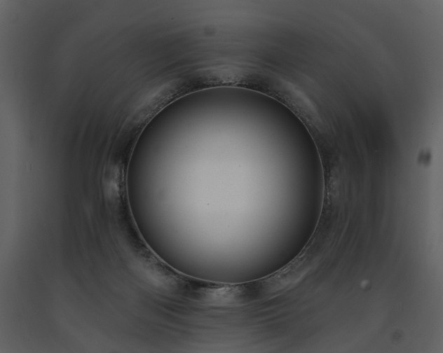 X0000091700122200708241232