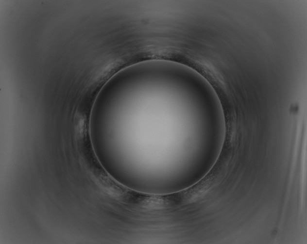 X0000091700123200708241232