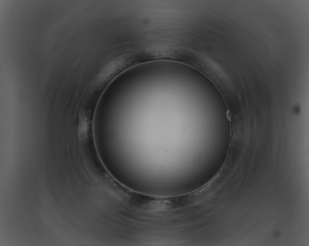 X0000091700124200708241232