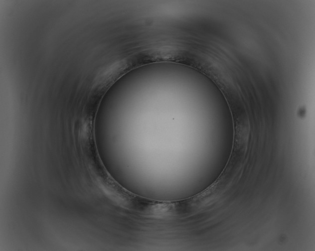 X0000091700126200708241232