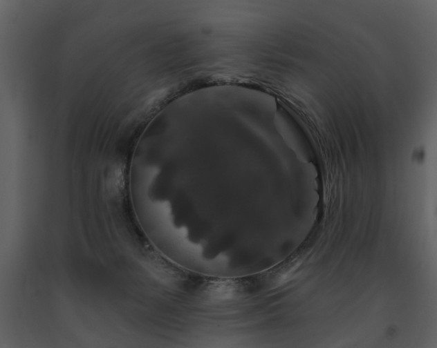 X0000091700127200708241232
