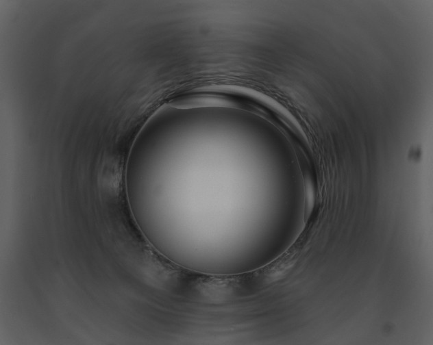 X0000091700129200708241232